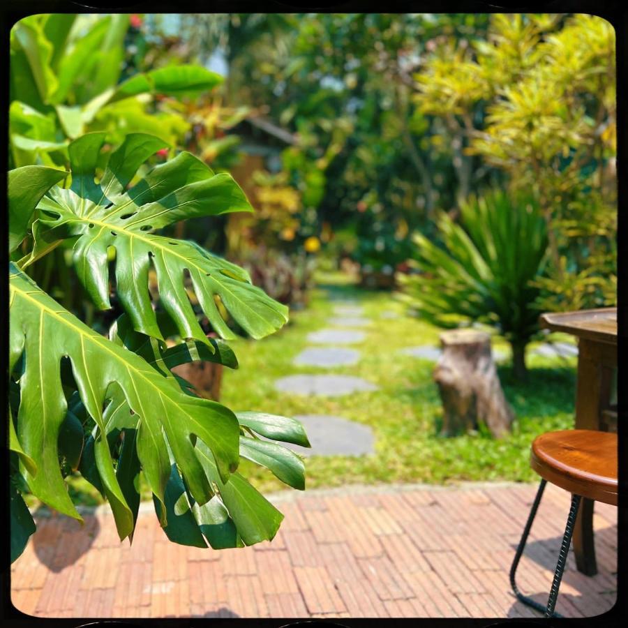 The Happy Bird B&B Hoi An Exteriör bild